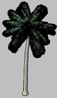 Coconut Palm Tree 3D DWG Model For AutoCAD Designs CAD