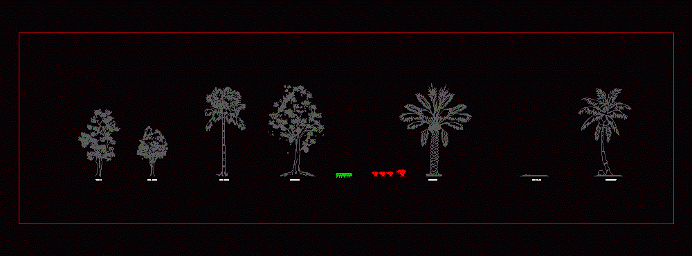 Palm And Deciduous Trees 2D DWG Elevation For AutoCAD Designs CAD