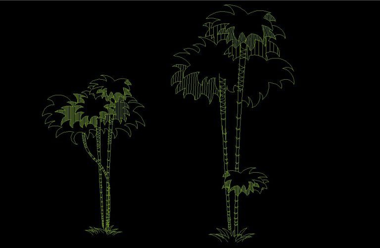 Palm Trees Plant Front View Elevation 2D DWG Block For AutoCAD