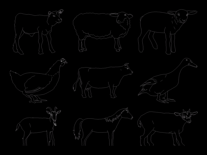 2d animals