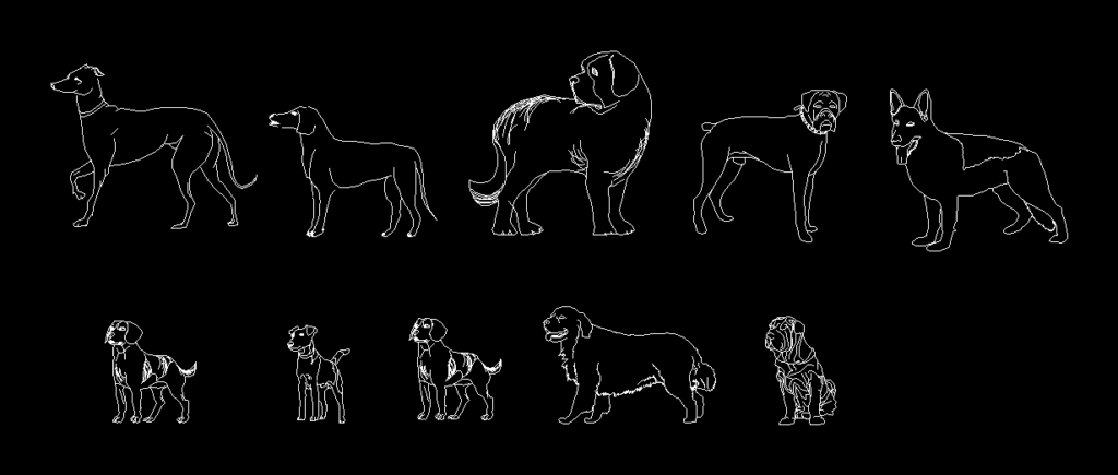 Animals