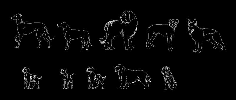 Animals