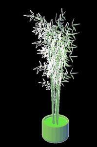 Bamboo Plant In Pot 3D DWG Model for AutoCAD