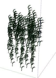 Bindweed 3D SKP Model for SketchUp