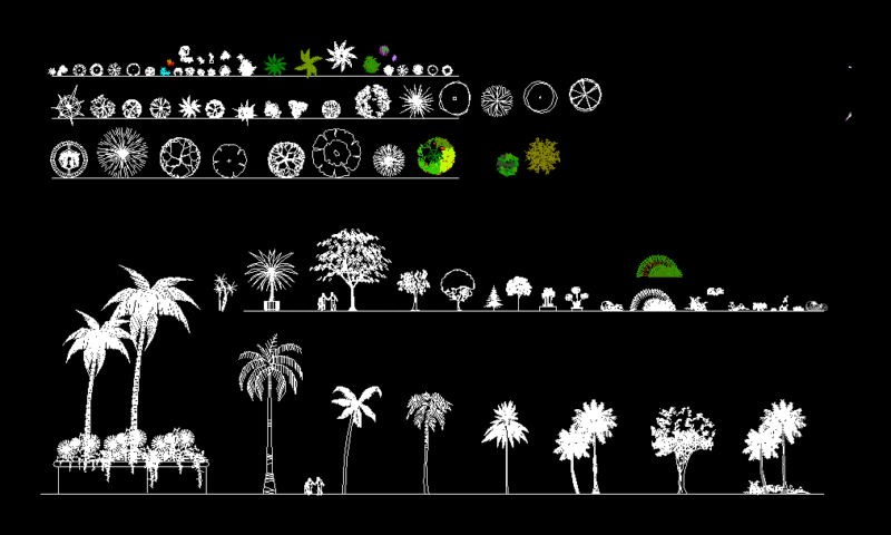 Blocks Palms DWG Block for AutoCAD