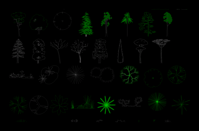 Blocks Trees DWG Plan for AutoCAD