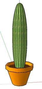 Potted Cactus 3D SKP Model for SketchUp