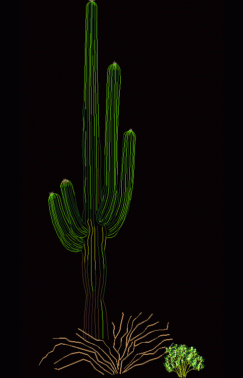 Saguaro Cactus 2D DWG Elevation for AutoCAD • Designs CAD