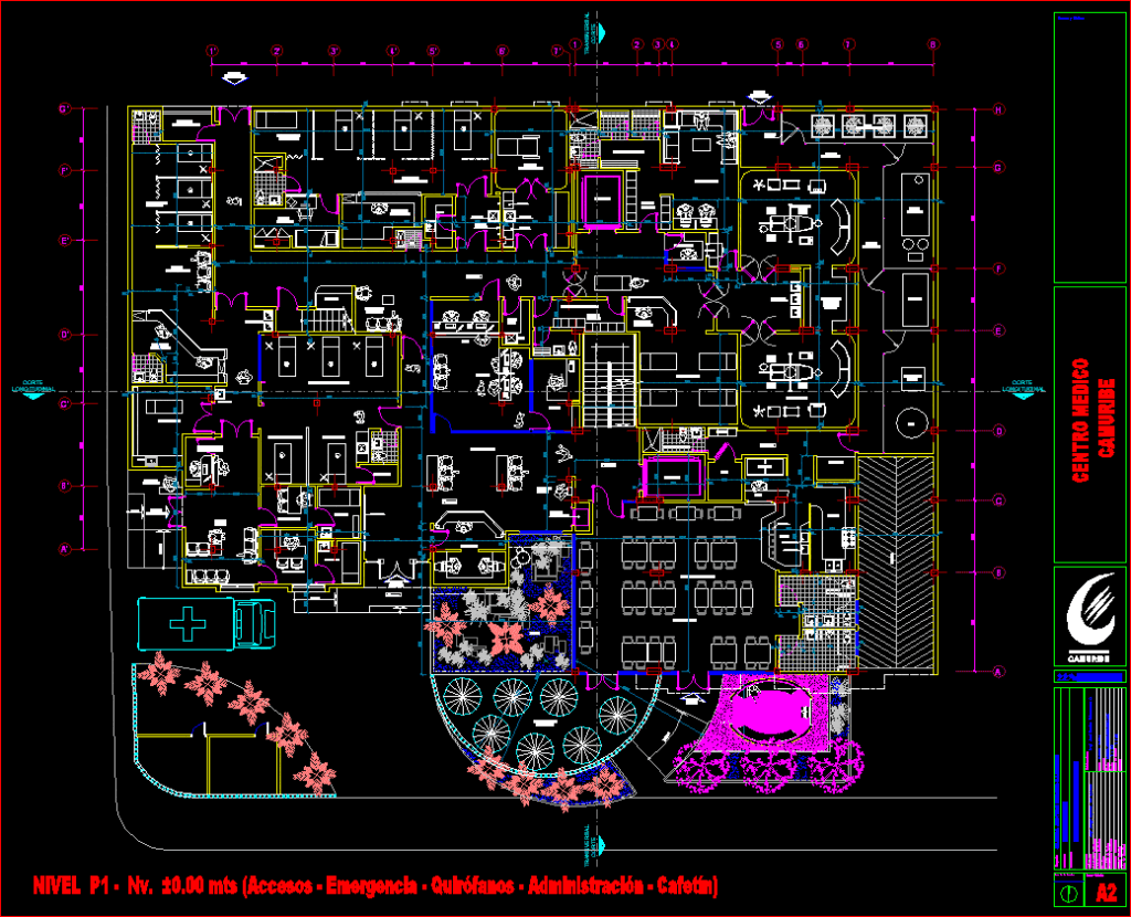 Camuribe Medical Center DWG Block for AutoCAD