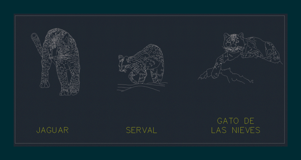 Cats