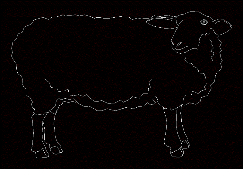 Cow