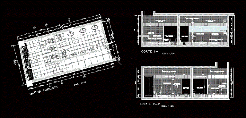 Development Of Sanitary Facilities – Public Toilet DWG Section for AutoCAD