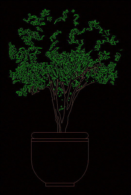 Elevations Tree DWG Elevation for AutoCAD