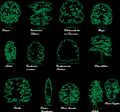 Trees 2d Dwg Elevation For Autocad • Designs Cad