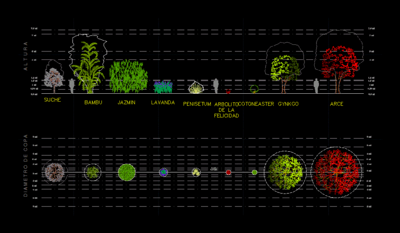 Trees and Shrubs 2D DWG Detail for AutoCAD