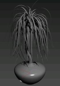 Dracaena Arborea Plant 3D MAX Model for 3D Studio Max