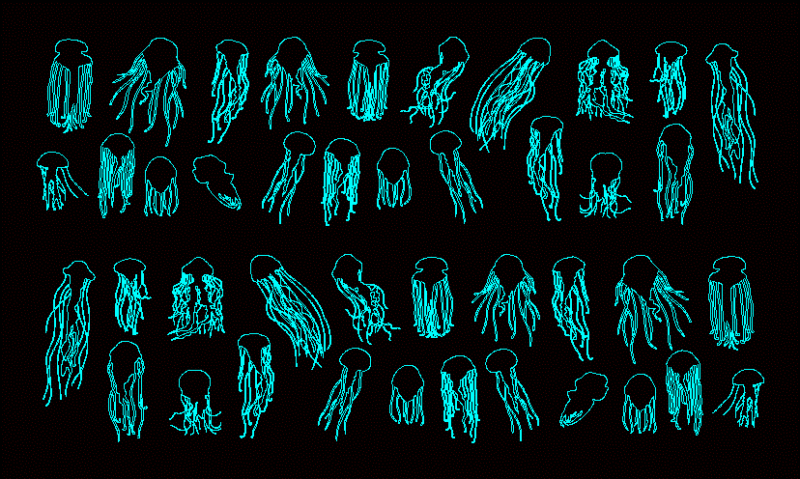 Jellyfish 2d