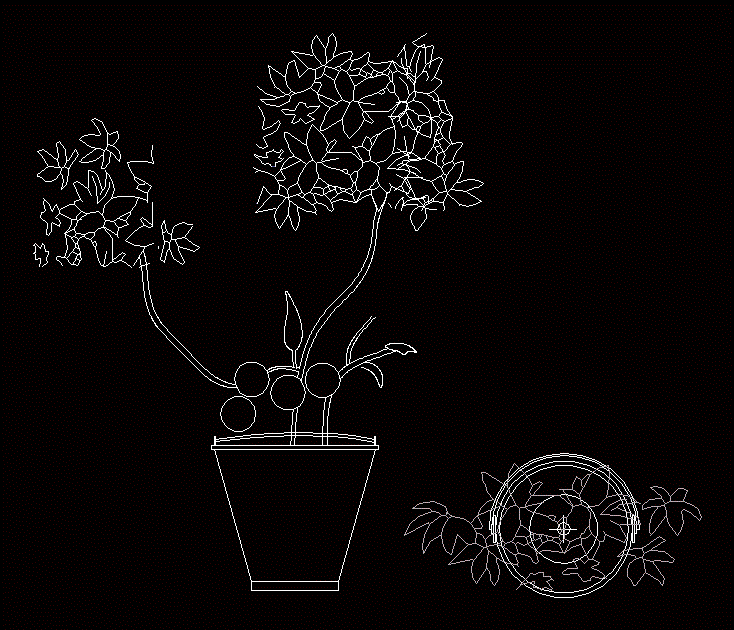 lemon tree in pot 2d dwg block for autocad • designs cad