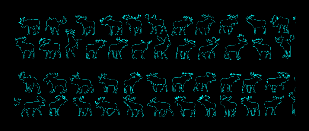 Moose