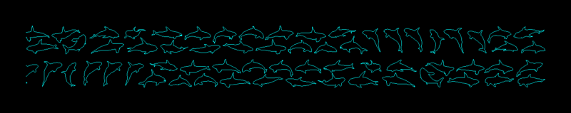 Orcas 2d