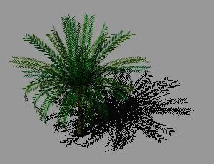 Sylvester Palm Tree 3D DWG Model for AutoCAD