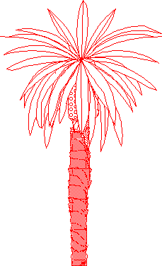 Date Palm Tree 2D DWG Elevation for AutoCAD • Designs CAD