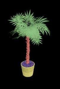 Pygmy Date Palm Tree 3DS Model for 3D Studio Max