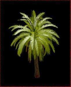 Date Palm Tree 3D MAX Model for 3D Studio Max