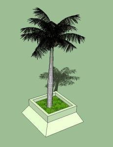 Royal Palm Tree 3D SKP Model for SketchUp