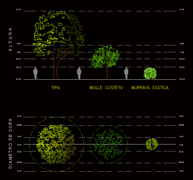 Trees and Shrub 2D DWG Block for AutoCAD – Designs CAD