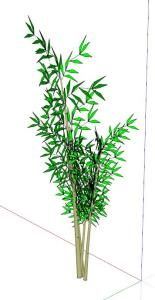 Pomegranate Plant 3D SKP Model for SketchUp