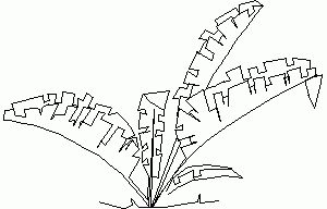 Strelitzia Plant 2D DWG Elevation for AutoCAD