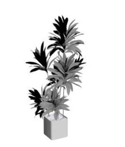 Dracaena Janet Craig 3DS Model for 3D Studio Max