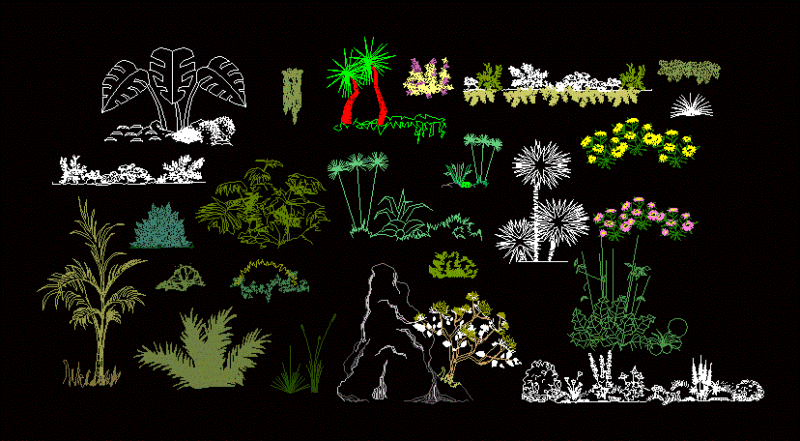 Plants And Flowers Elevation DWG Elevation for AutoCAD