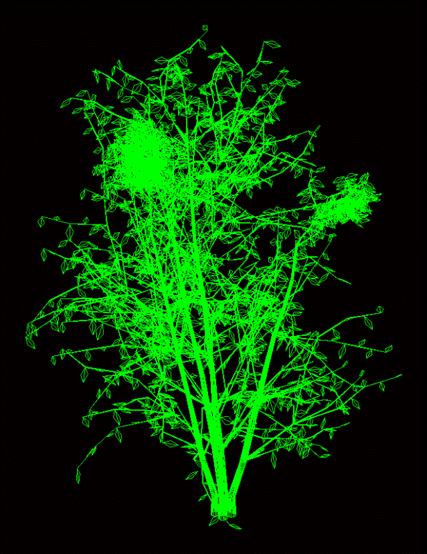 Hazel Tree 3D DWG Model for AutoCAD