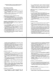 Standard Disabled Peru DOC Word Document