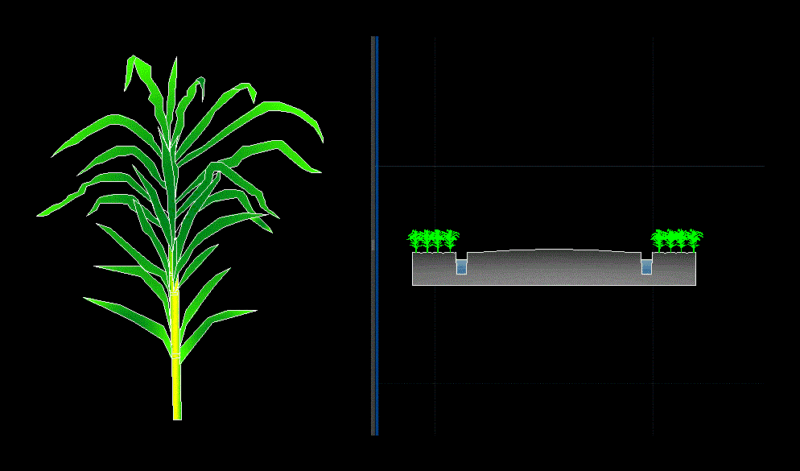 Sugar Cane DWG Block for AutoCAD