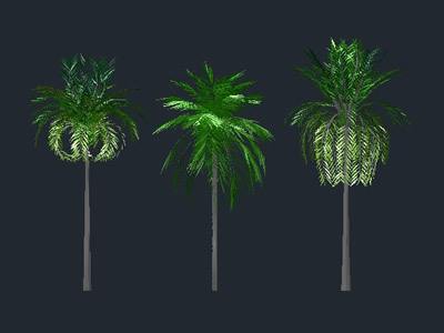 Palm Trees 3D DWG Model for AutoCAD • Designs CAD