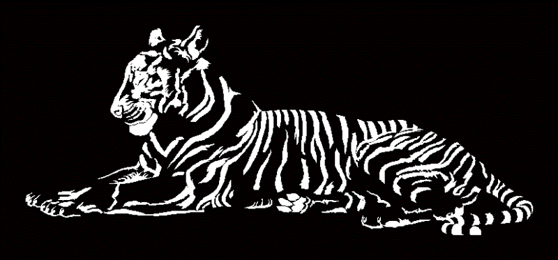 Tiger lying 2d