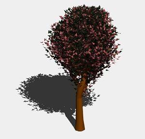 Fraxinus Tree 3D DWG Model for AutoCAD