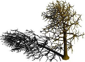Tree 3D DWG Model for AutoCAD