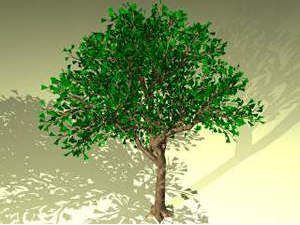 Tree 3D DWG Model for AutoCAD