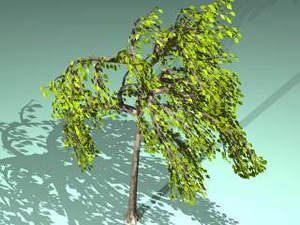 Tree 3D DWG Model for AutoCAD
