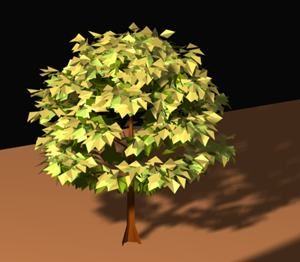Maple Tree 3D MAX Model for 3DS MAX