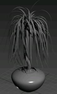 Dracaena Arborea Plant 3D MAX Model for 3D Studio Max