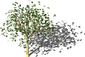 Silver Birch Tree 3D DWG Model for AutoCAD