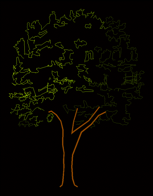 Oregon White Oak Tree 2D DWG Elevation for AutoCAD