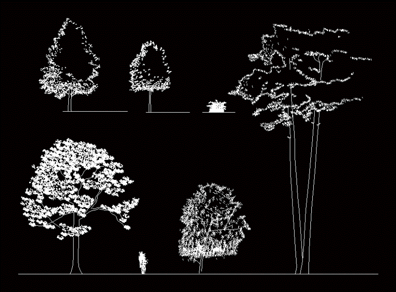 Tree DWG Block for AutoCAD