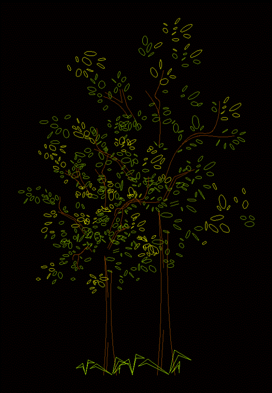Oregon Ash Tree 2D DWG Block for AutoCAD