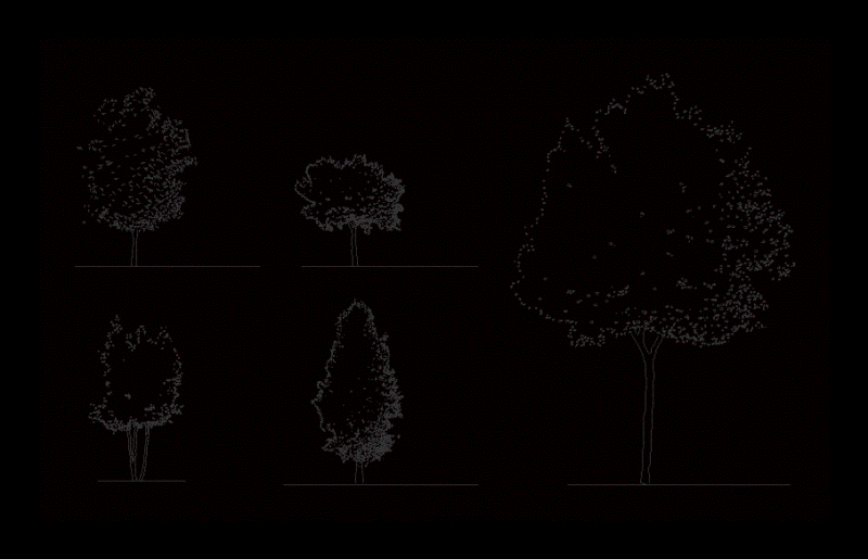 Tree DWG Detail for AutoCAD